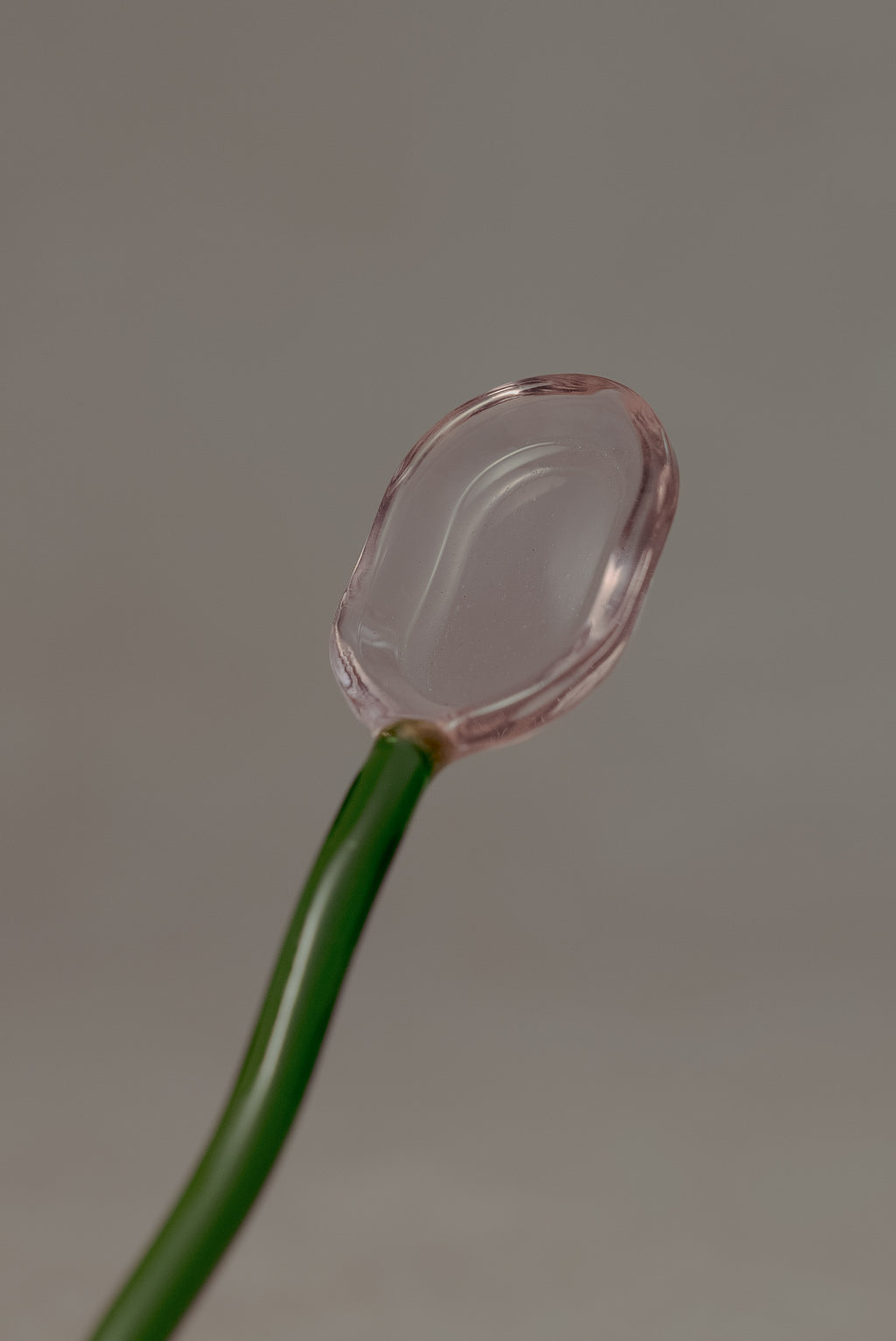 Cuchara