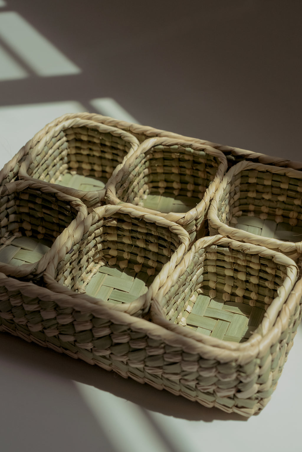 Organizer with drawers