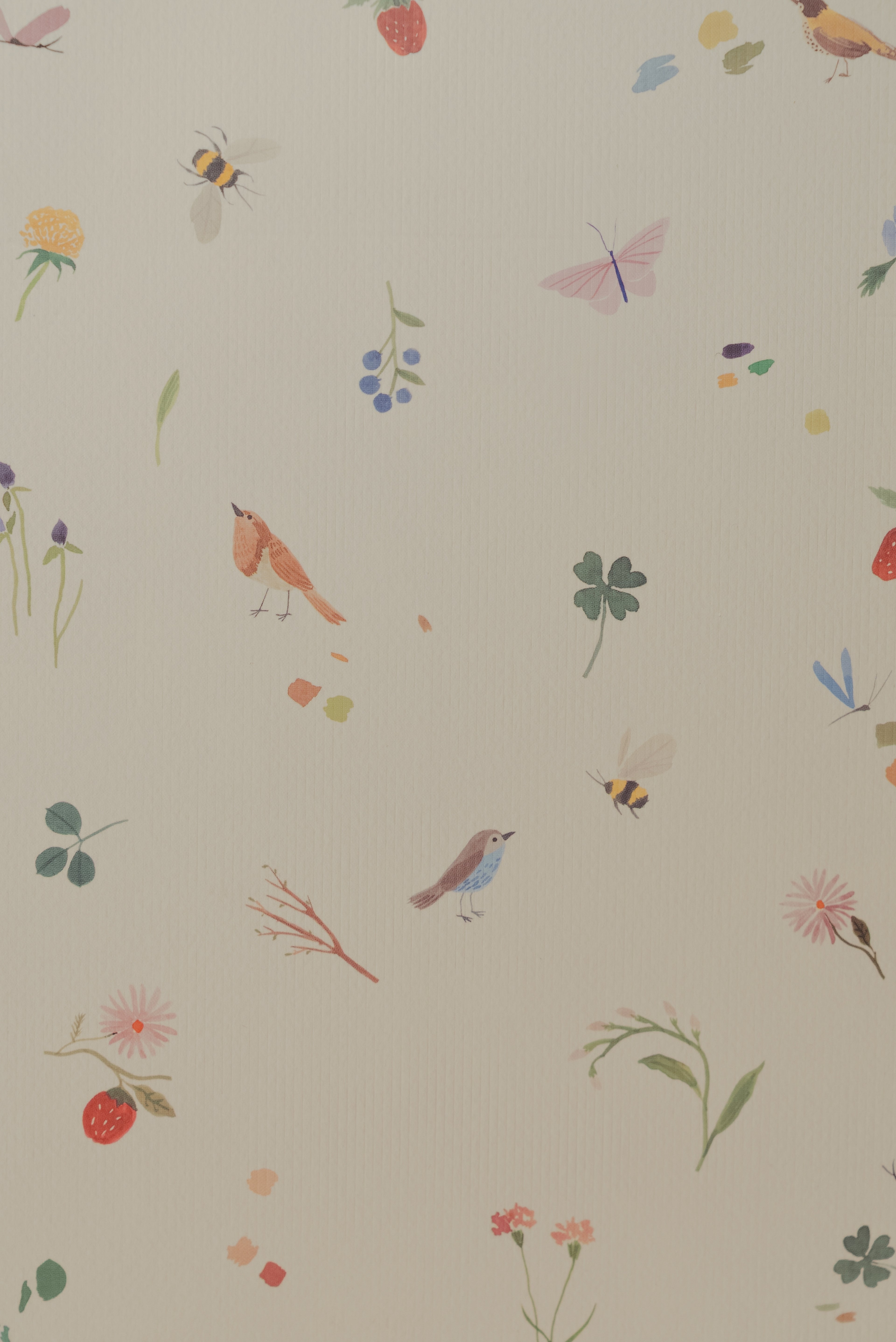 Diario botánico chico