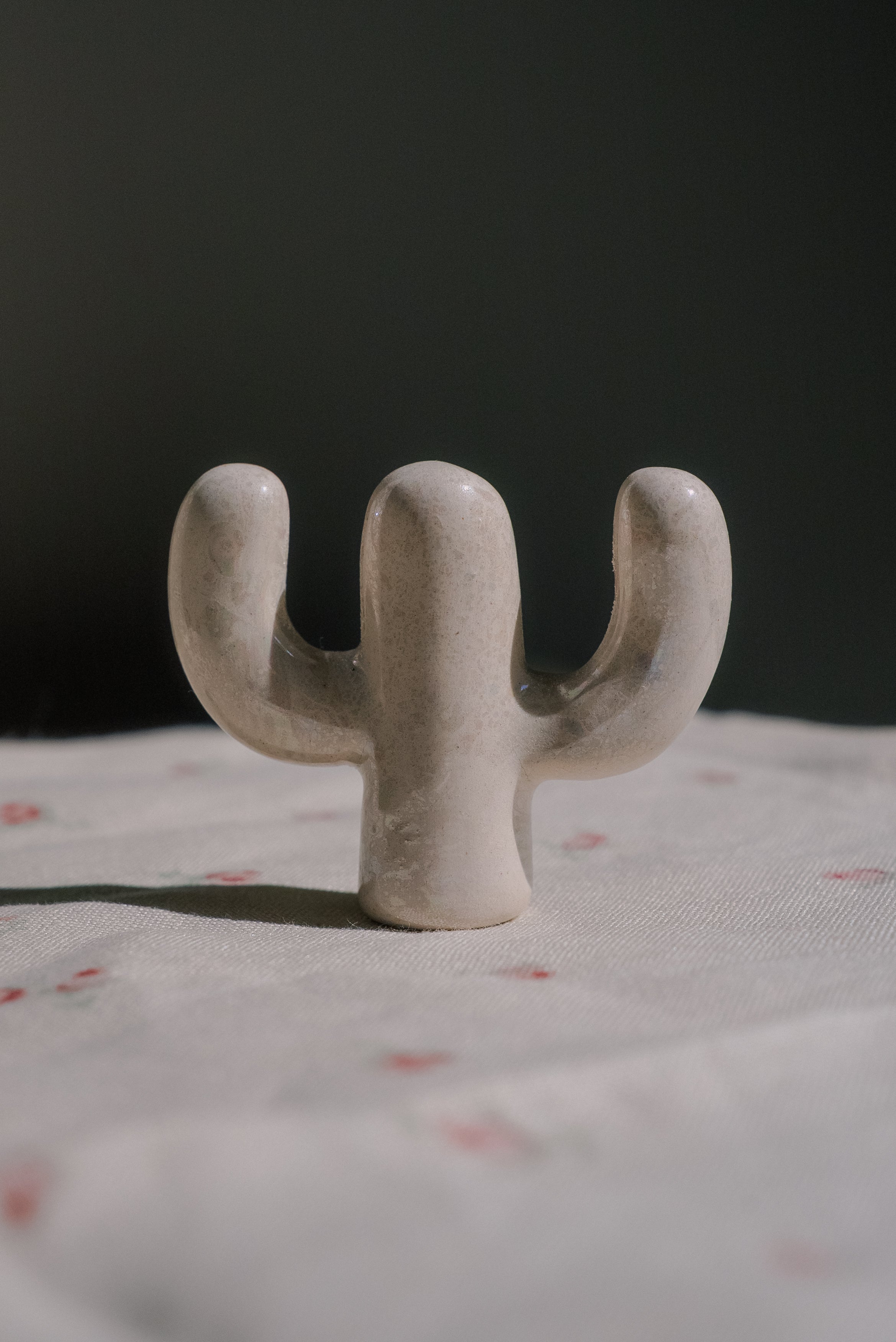 Anillero cactus tornasol