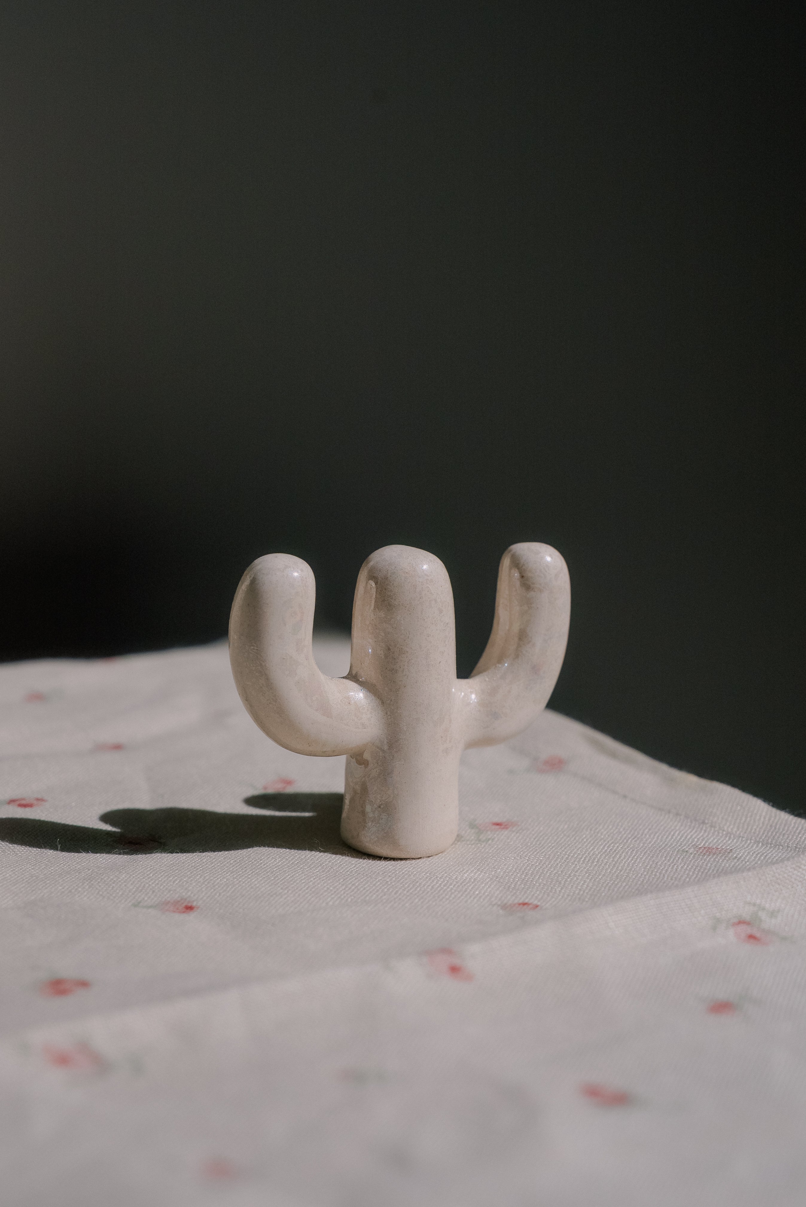 Anillero cactus tornasol