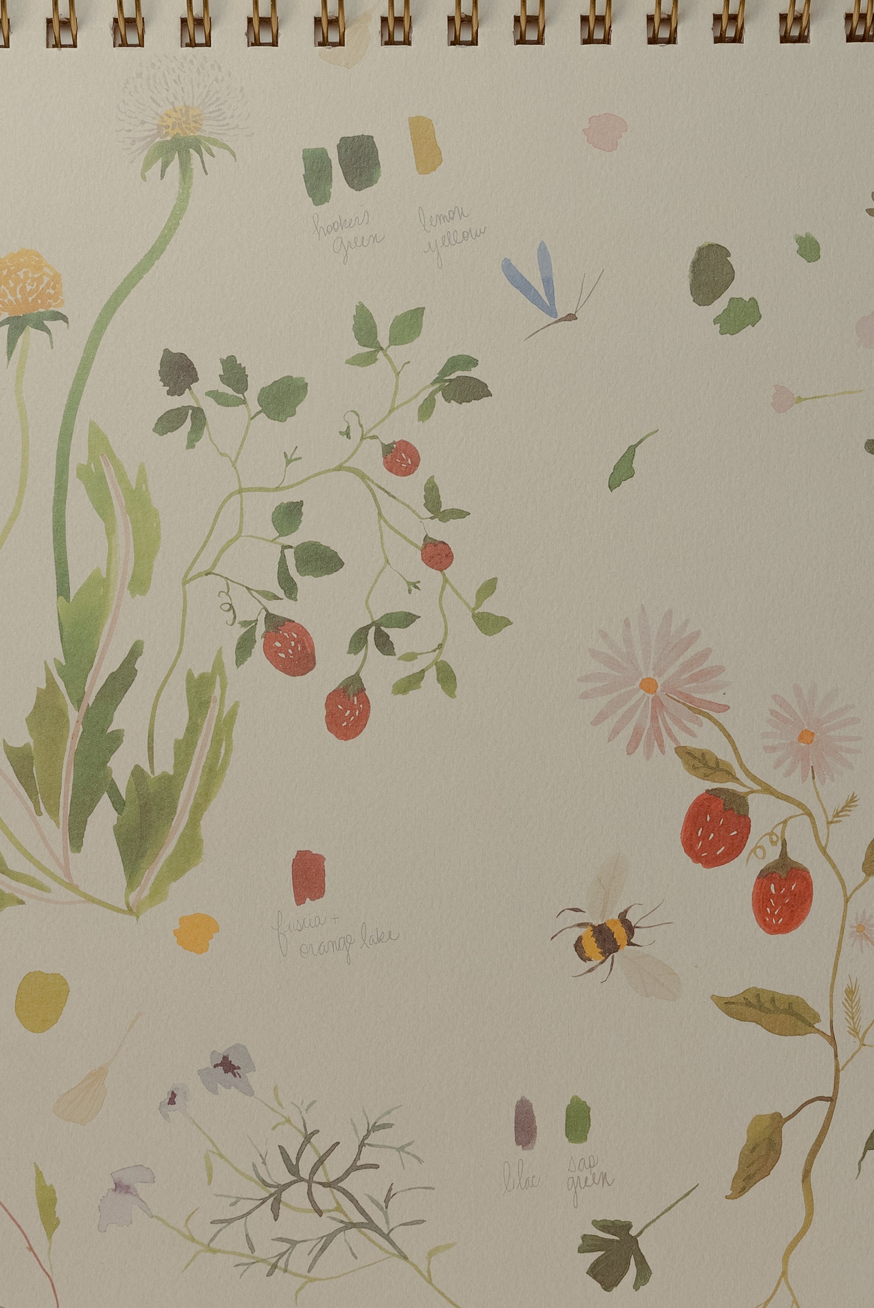 Sketchbook botánico chico