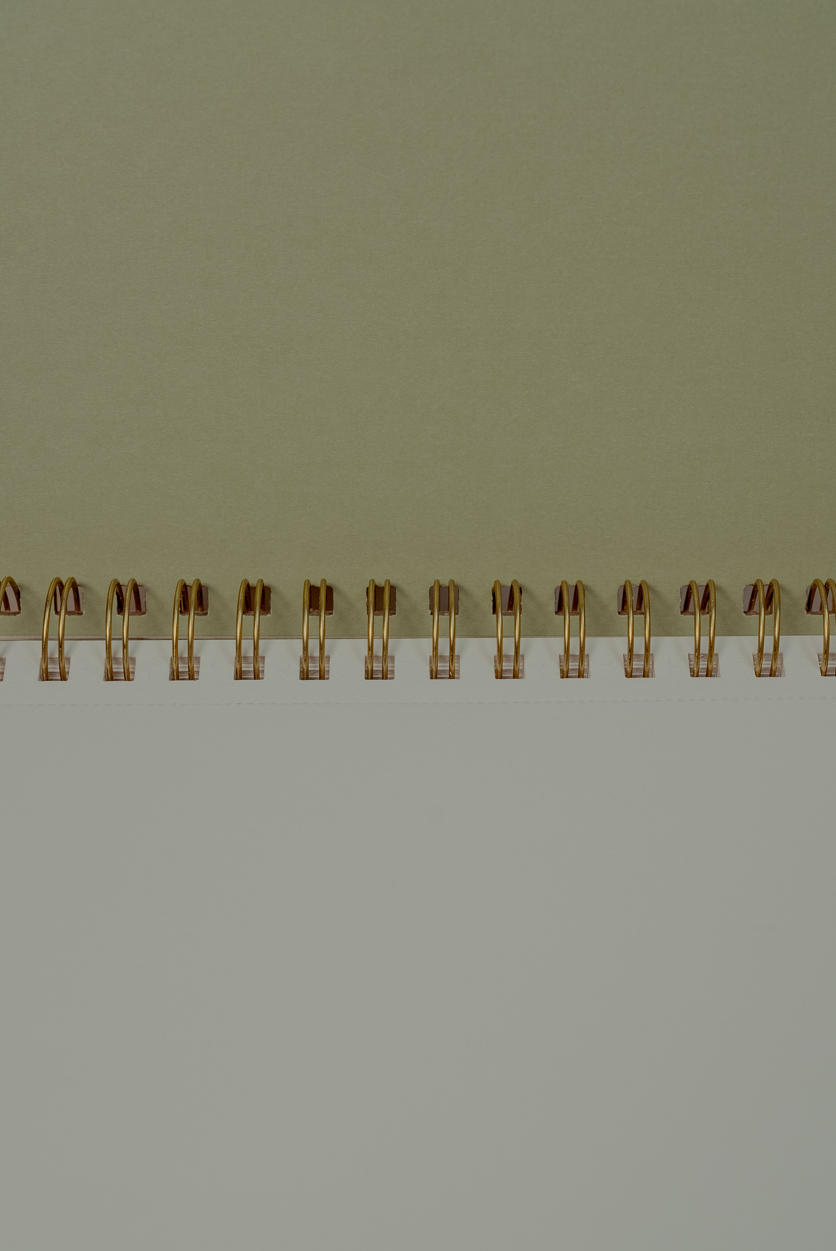 Sketchbook botánico chico