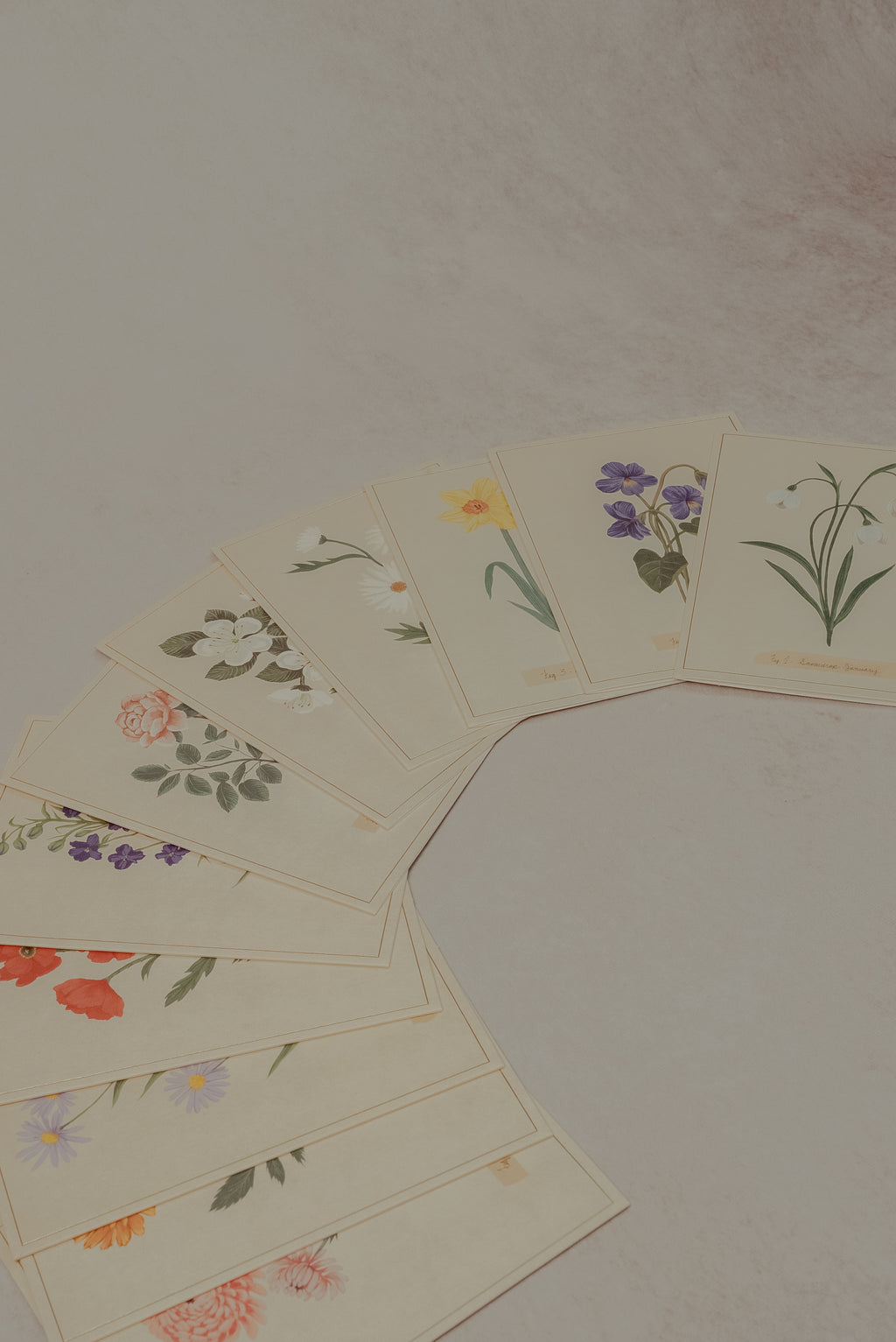 Set de tarjetas florales