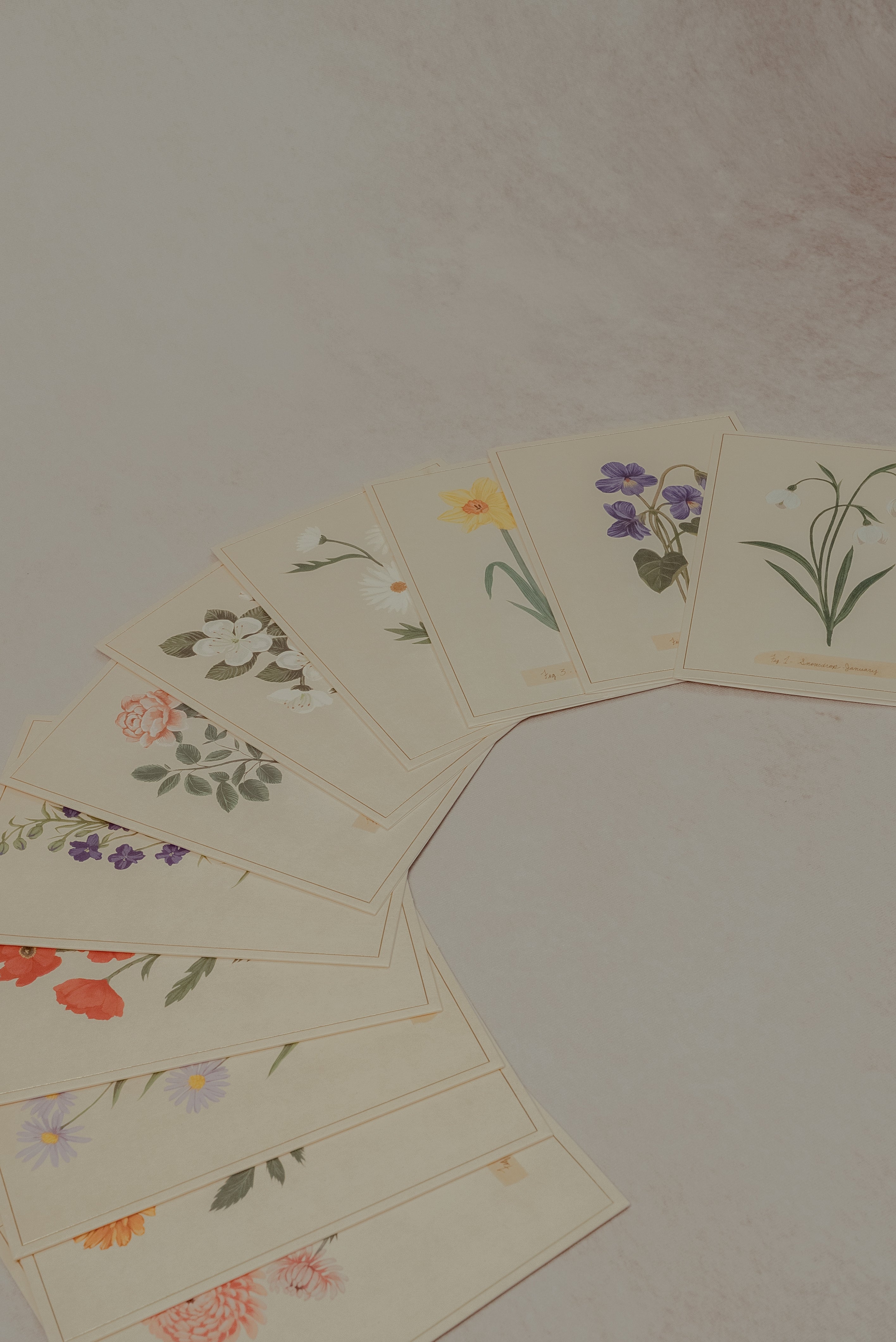 Set de tarjetas florales