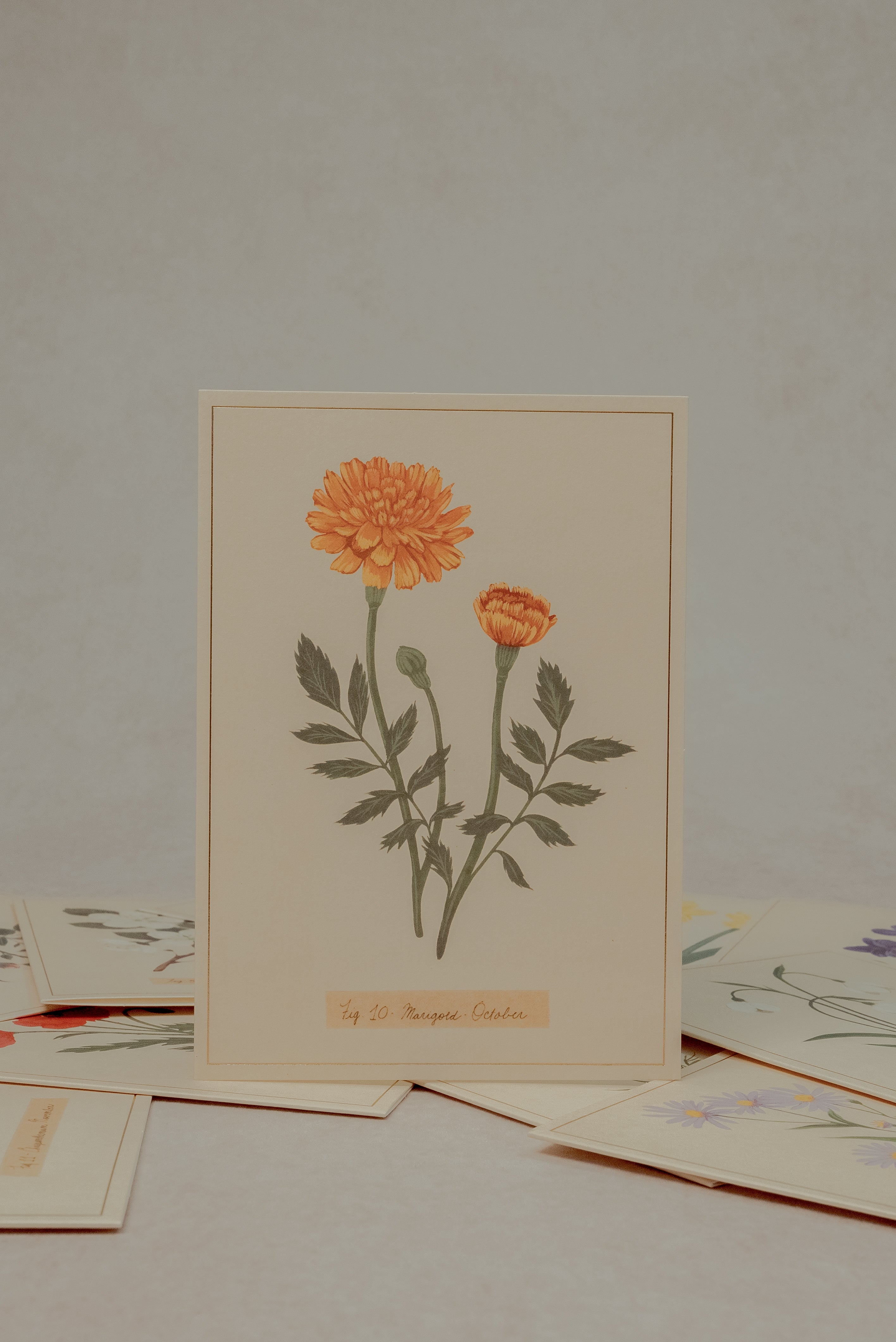 Set de tarjetas florales