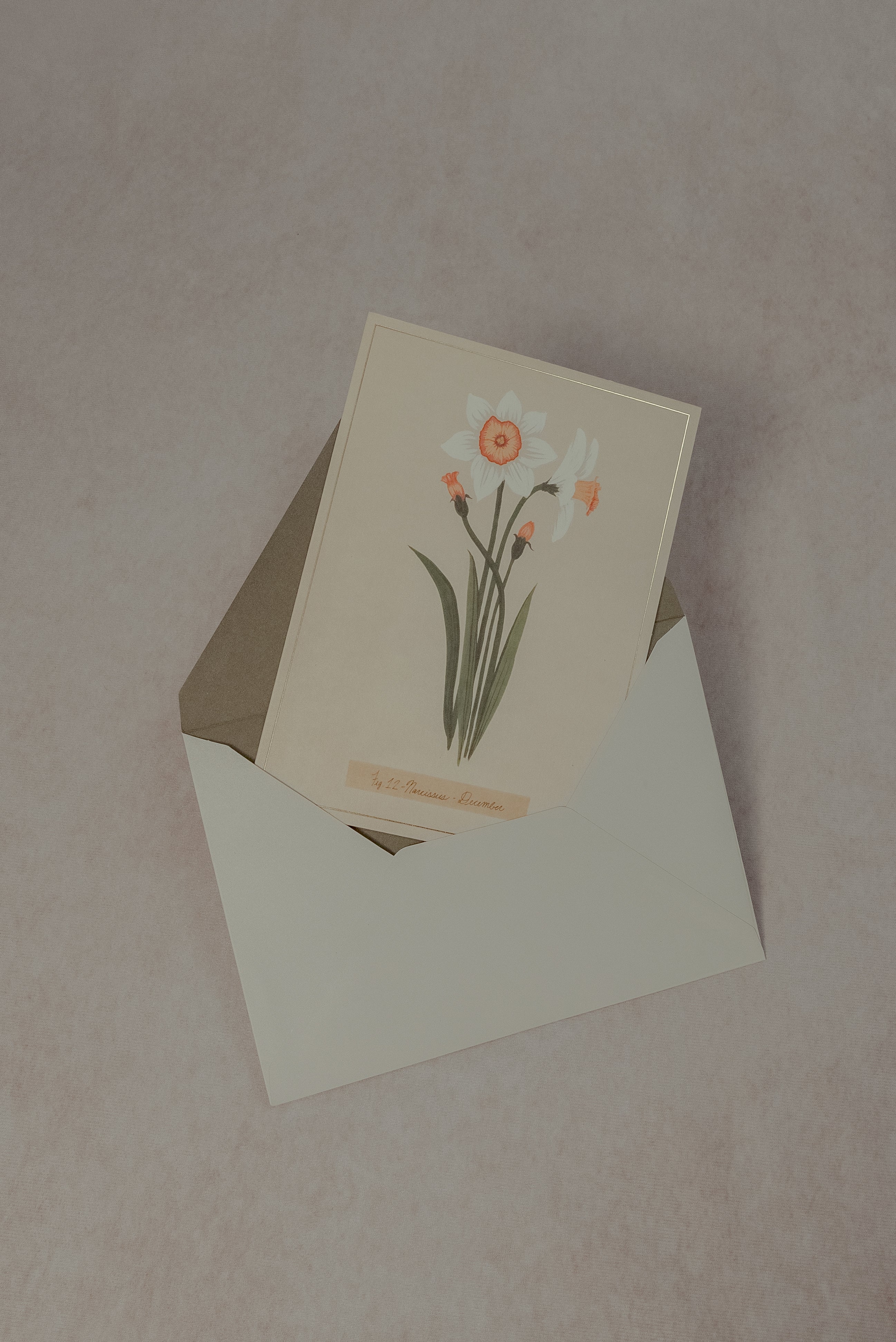 Set de tarjetas florales