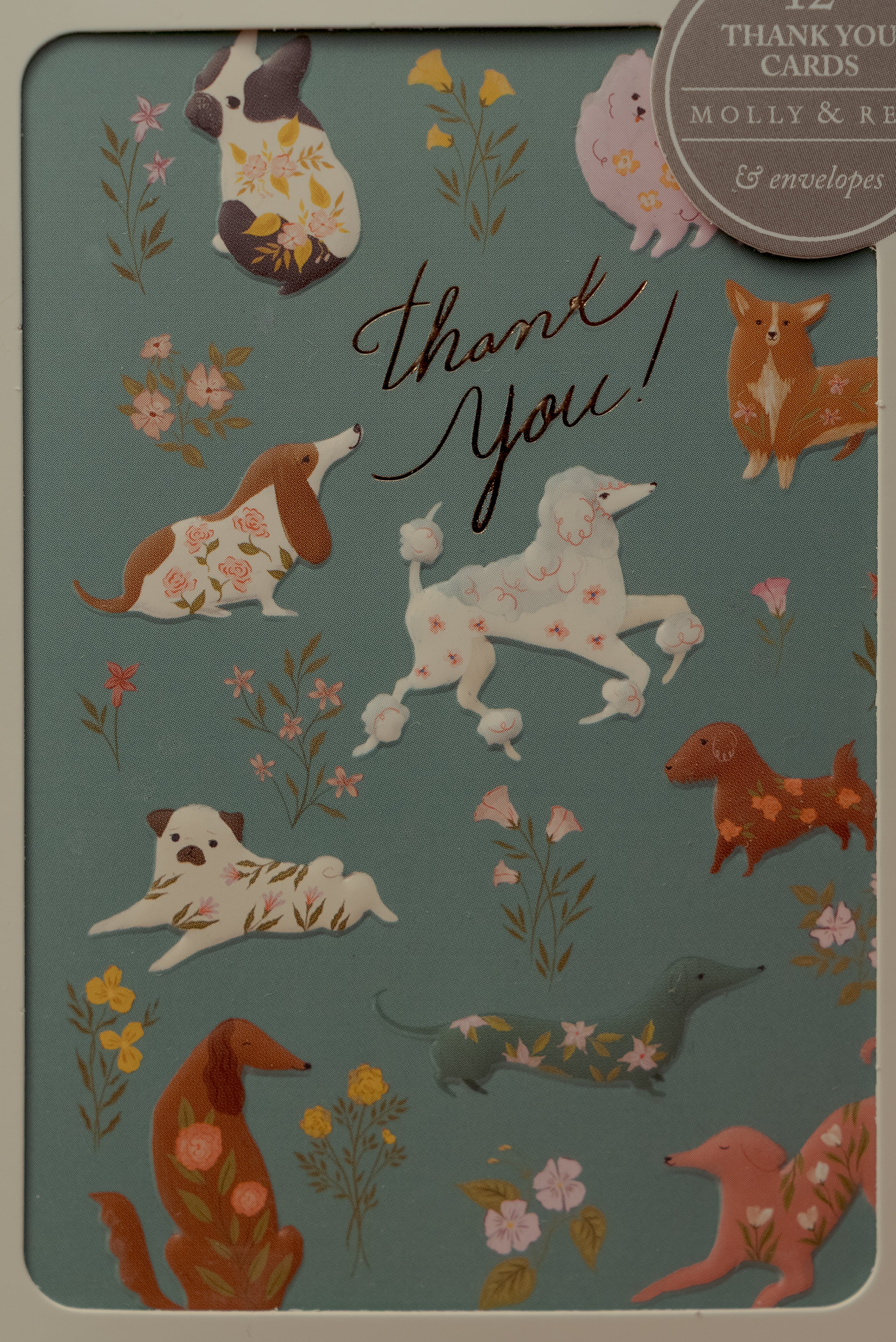 Tarjeta de agradecimiento perrito